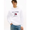 Tommy Hilfiger Logo Embroidery Fleece Hoody MW0MW42735YBR
